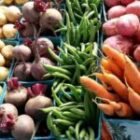 Organic Farming – The NEW WAY to Health and Wellness